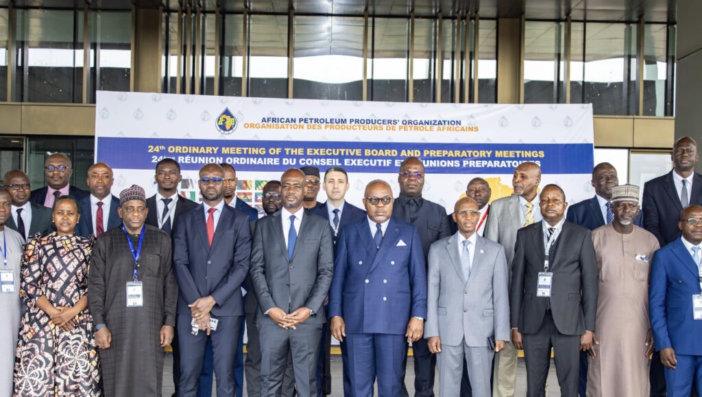 1c97126f 17ca 4f6f ab18 2594e5138ded Africa Energy Investment Corporation Empowering Africa’s Energy Future Africa Energy Investment Corporation (AEICORP)